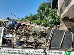 Best Basement Cleanout  in Johnston City, IL